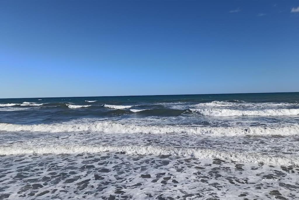 Piso En Playa De Gandia! Apartment ภายนอก รูปภาพ